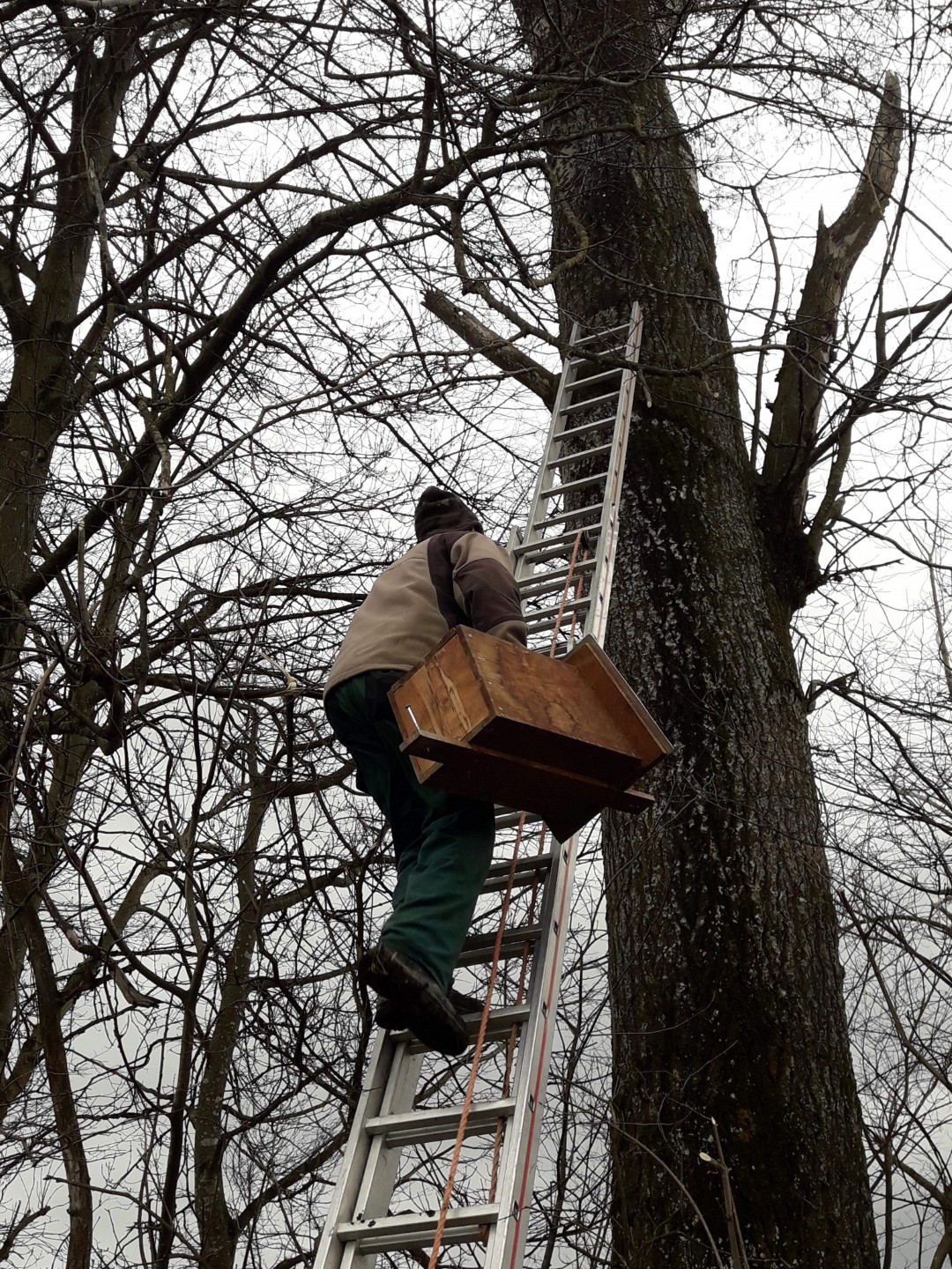 eulenkastenmontage
